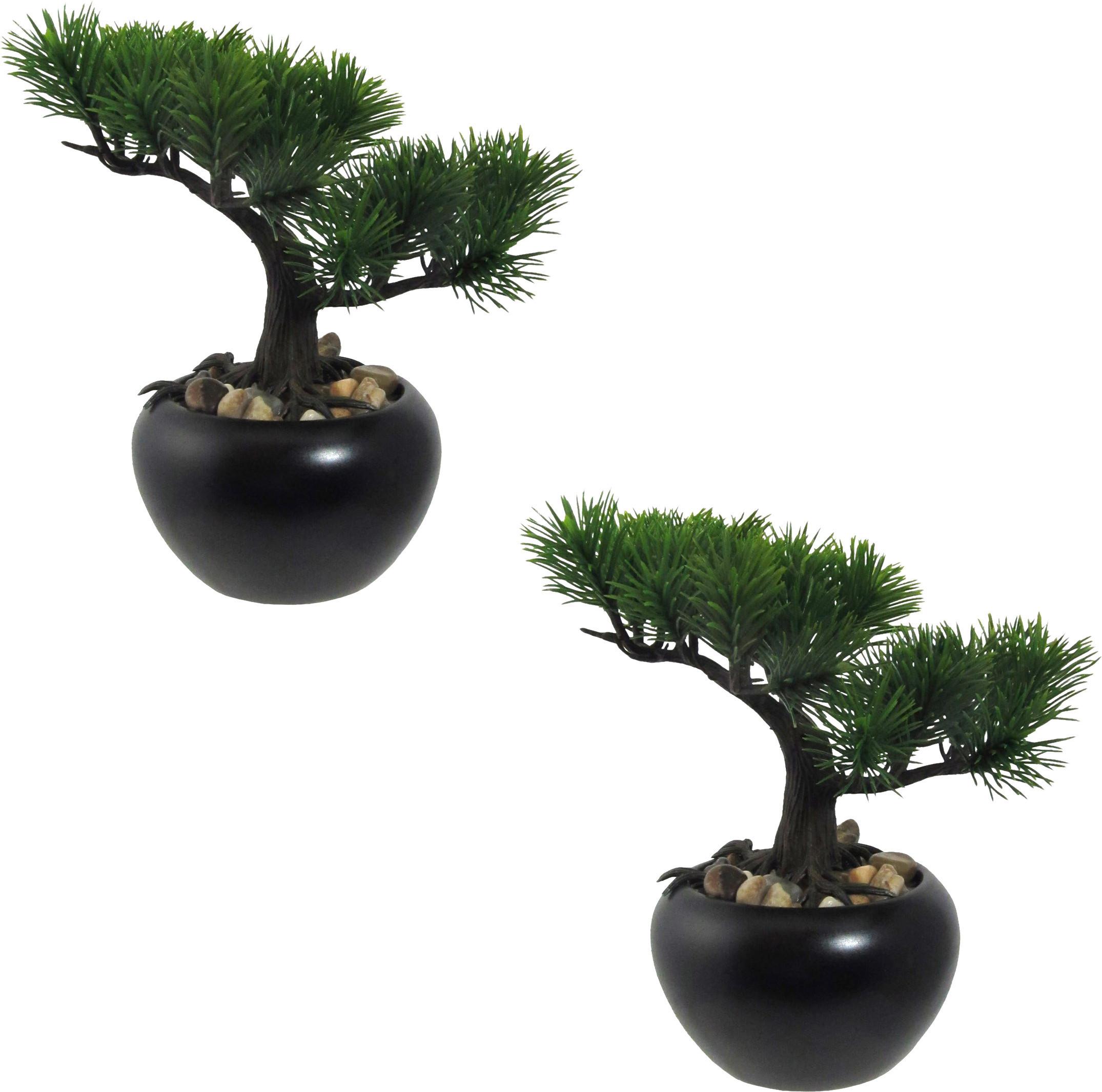 Kunstpflanze, Bonsai Grün, H: 19 Cm - Schwarz/Grün, Design, Keramik/Kunststoff (19cm) - P & B