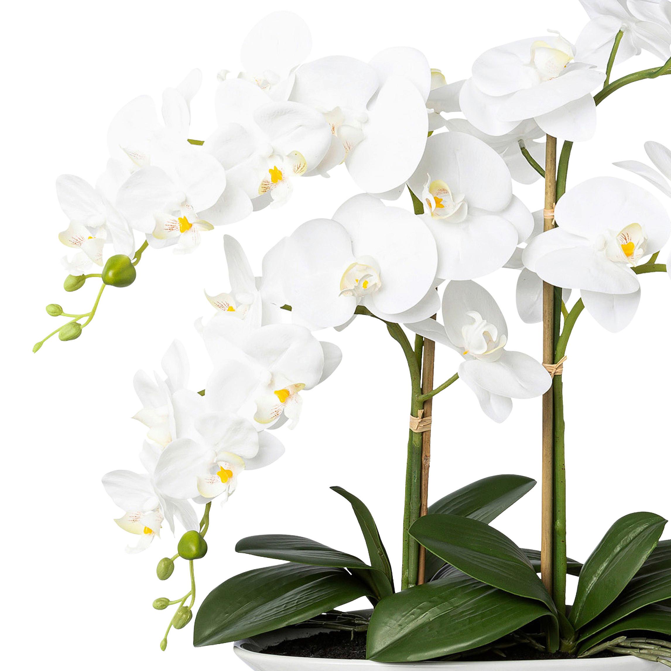 Kunstpflanze Orchideen Weiß, Topf: Weiß, H: 53 Cm - Weiß/Grün, Design, Keramik/Kunststoff (53cm) - P & B