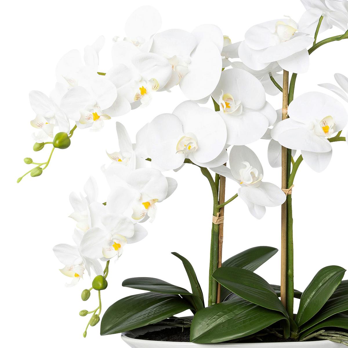 Kunstpflanze Orchideen Weiß, Topf: Weiß, H: 53 Cm - Weiß/Grün, Design, Keramik/Kunststoff (53cm) - P & B