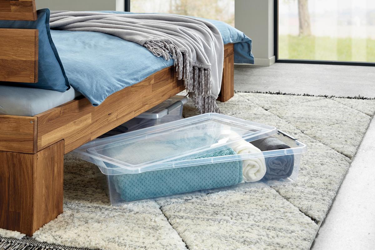 Unterbettroller M. Deckel Mila 29l, 58x39x16,5 Cm - Transparent/Schwarz, Basics, Kunststoff (58/39/16,5cm) - Homezone