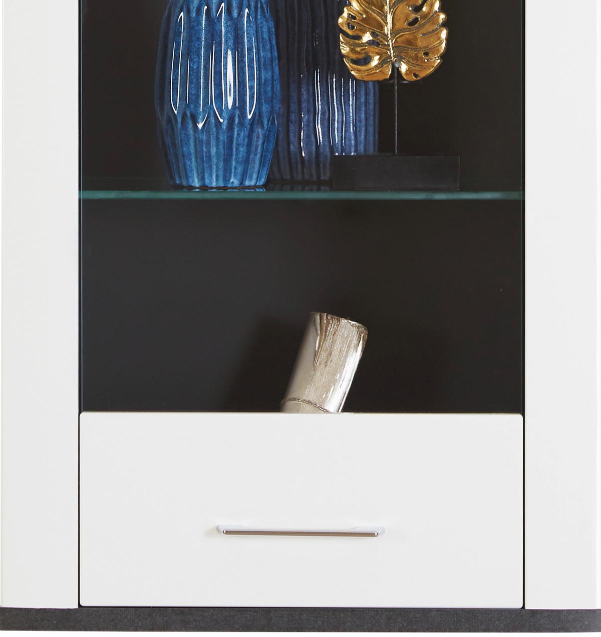 ZÁVĚSNÁ VITRÍNA ALASSIO - bílá/barvy grafitu, Moderní, kov/kompozitní dřevo (54,7/118,5/34cm) - Luca Bessoni