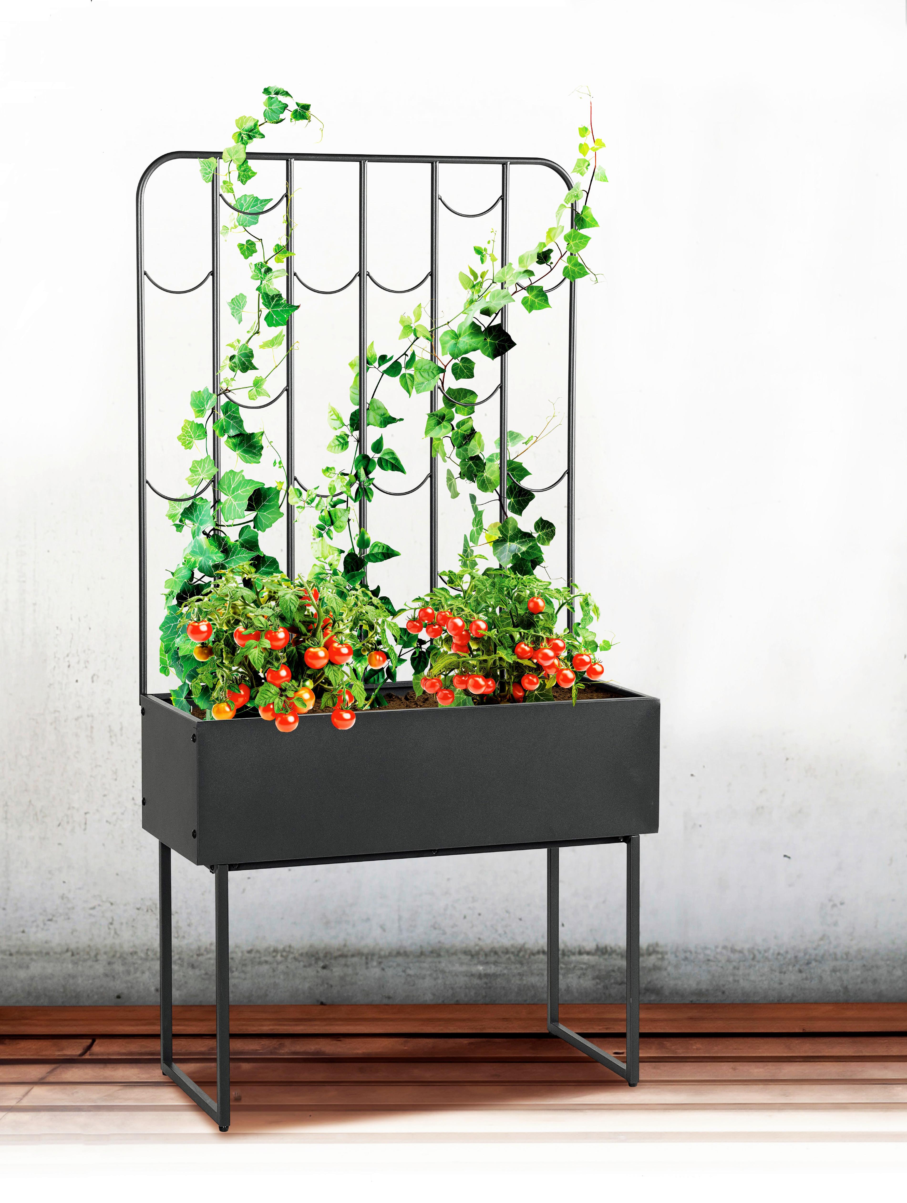 Hochbeet Stella Anthrazit - Anthrazit, LIFESTYLE, Metall (32/144/74cm)