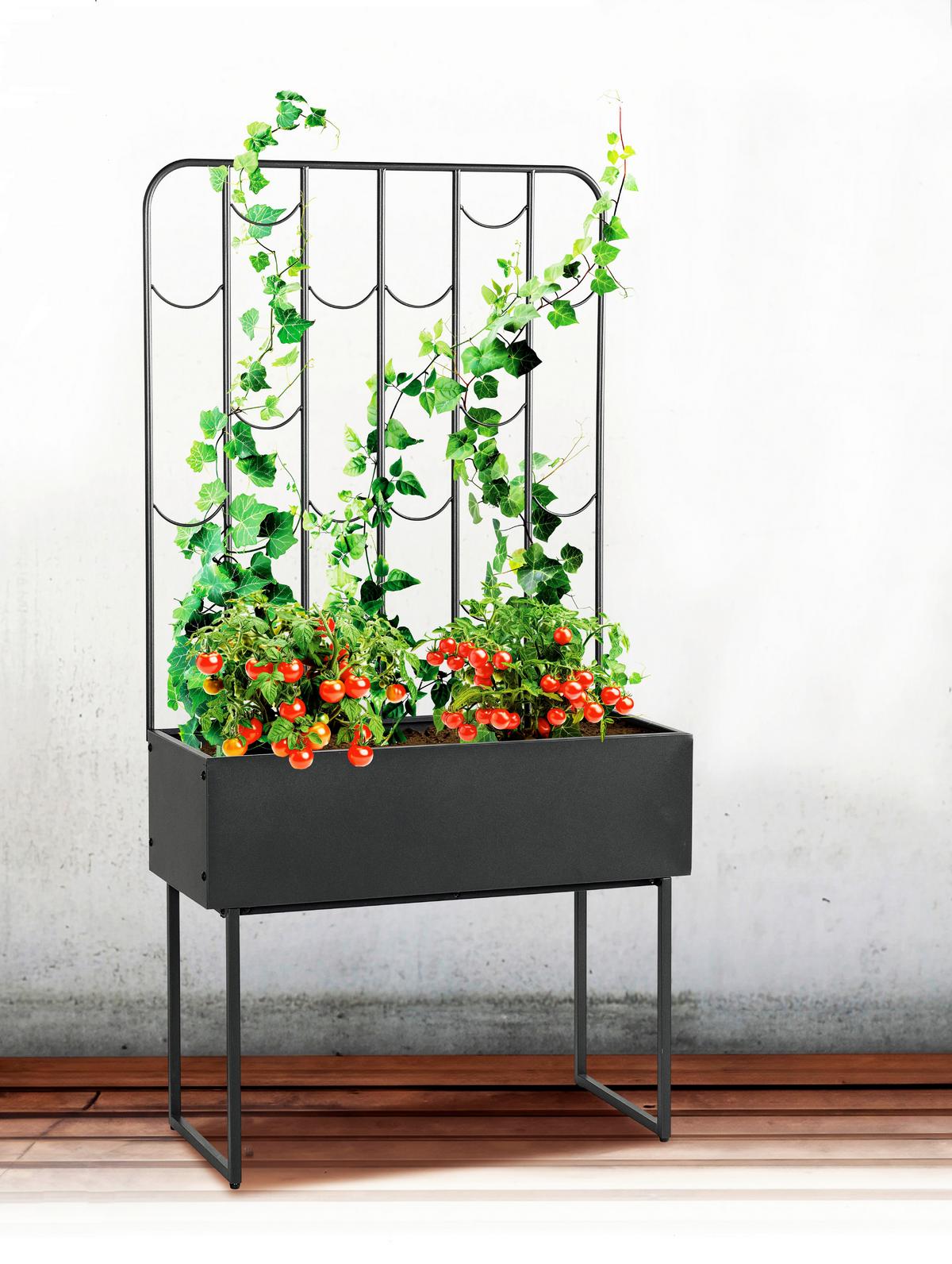 Hochbeet Stella Anthrazit - Anthrazit, LIFESTYLE, Metall (32/144/74cm)