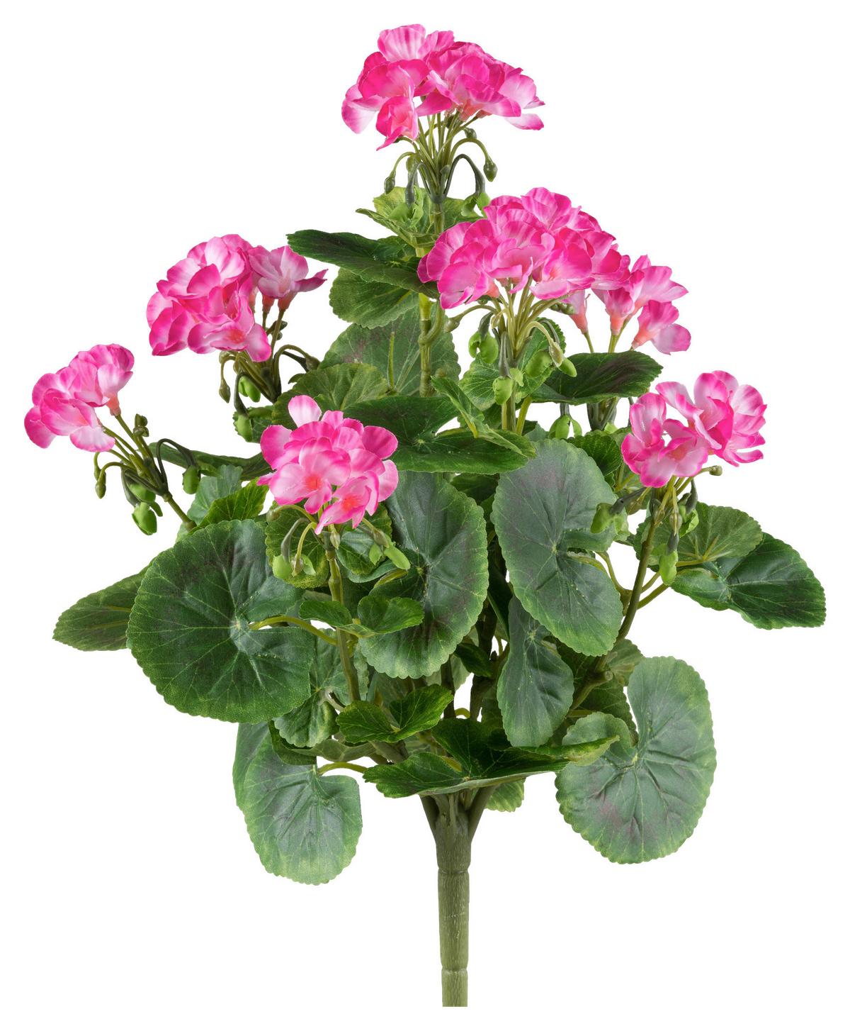 Kunstpflanze H: 40 Cm - Pink/Grün, Design, Kunststoff (40cm) - P & B