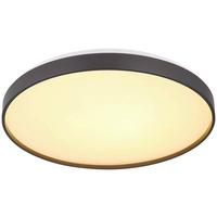 Led-deckenleuchte Luka - Anthrazit/Opal, MODERN, Kunststoff/Metall (48cm) - Luca Bessoni