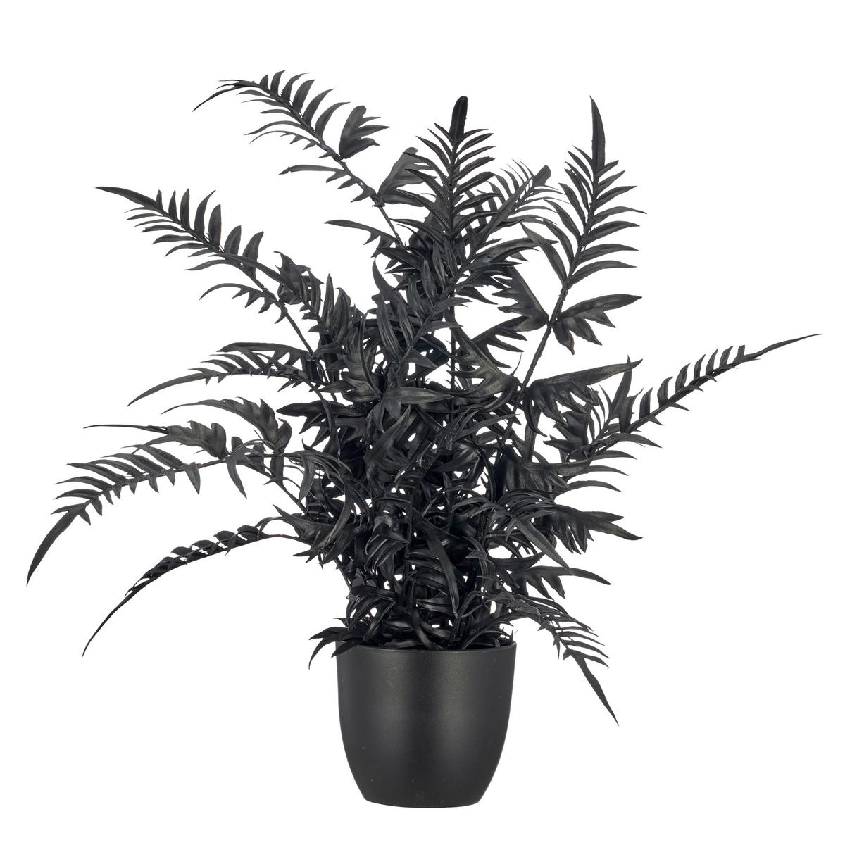 Umelá rastlina PTERIS II -PAZ- - hnedá/čierna, Basics, kov/plast (50cm) - Mömax