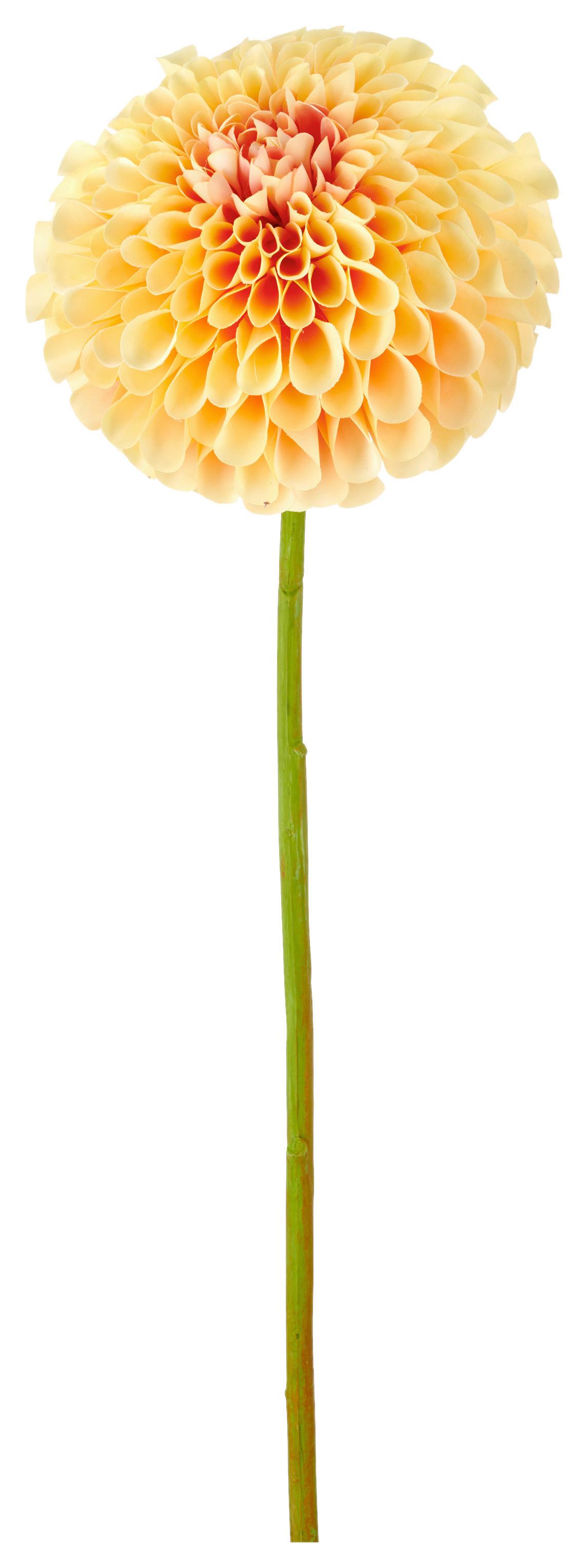 Umelá kvet georgína DAHLIE I -PAZ- - zelená/svetložltá, Basics, kov/textil (73cm) - Mömax