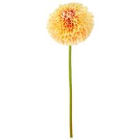 Umelá kvet georgína DAHLIE I -PAZ- - zelená/svetložltá, Basics, kov/textil (73cm) - Mömax