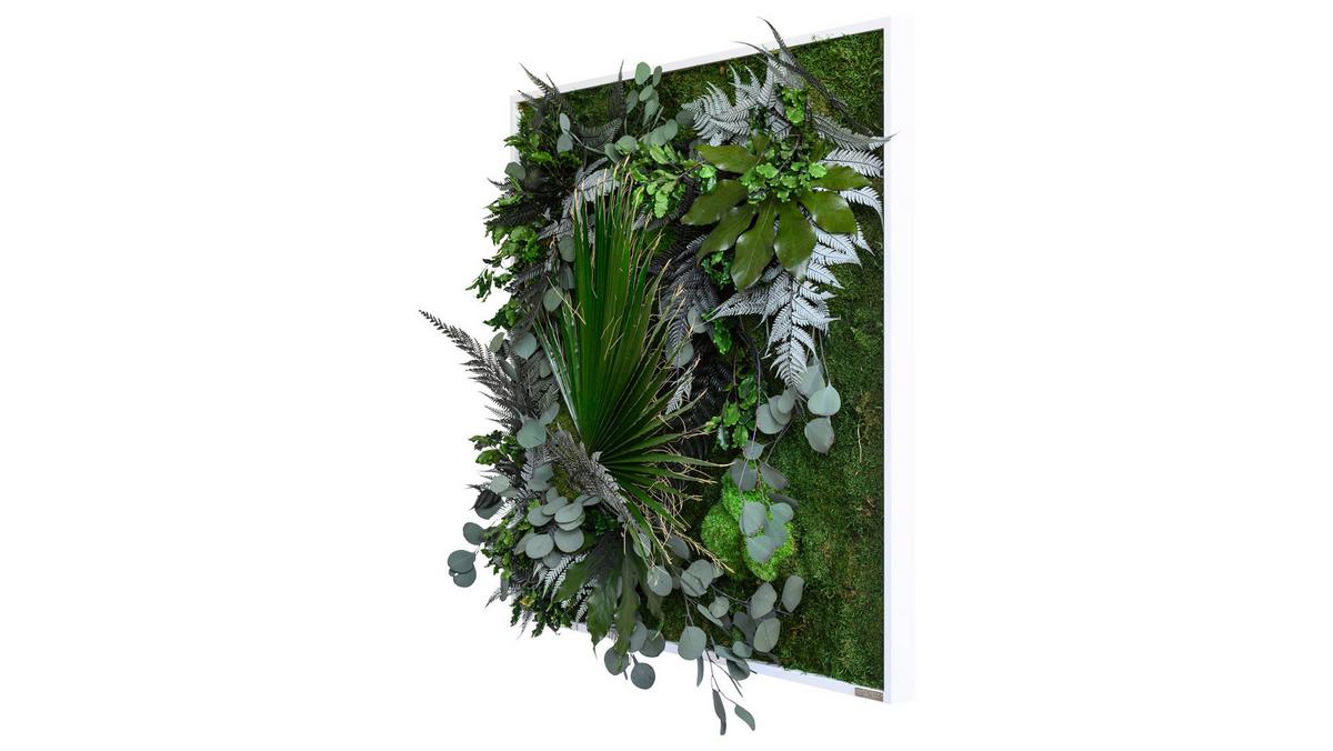 Moosbild Moos Grün B: 80 cm - Weiß/Grün, Basics, Naturmaterialien/Holz (80/80/18-22cm)