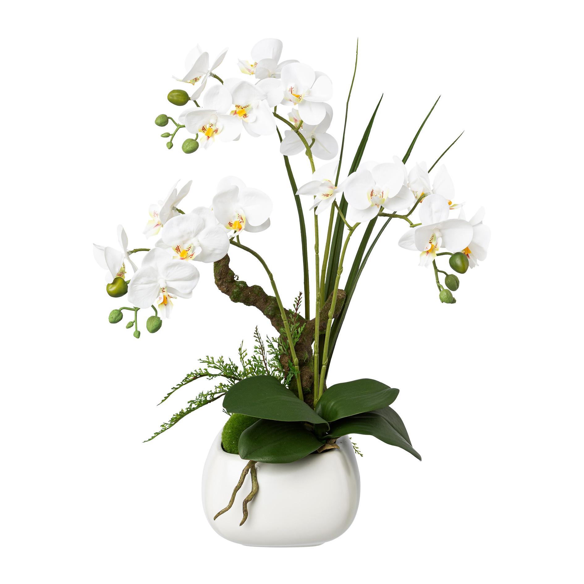 Kunstpflanze Orchideen Weiß, Topf: Weiß, H: 46 cm - Weiß/Grün, Design, Keramik/Kunststoff (46cm) - P & B