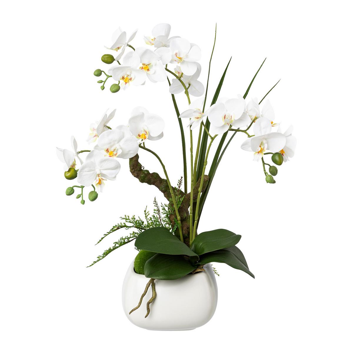 Kunstpflanze Orchideen Weiß, Topf: Weiß, H: 46 cm - Weiß/Grün, Design, Keramik/Kunststoff (46cm) - P & B