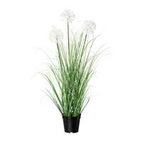 Kunstpflanze Grün/weiß H: 78 Cm Mit Topf Daisy - Schwarz/Weiß, MODERN, Kunststoff (78cm) - P & B