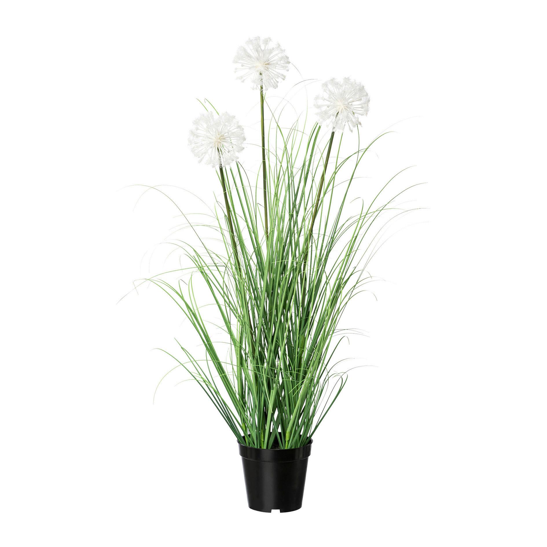 Kunstpflanze Grün/weiß H: 78 Cm Mit Topf Daisy