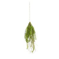 UMĚLÁ ROSTLINA COLUMNEA II - zelená, plast (70cm) - Modern Living