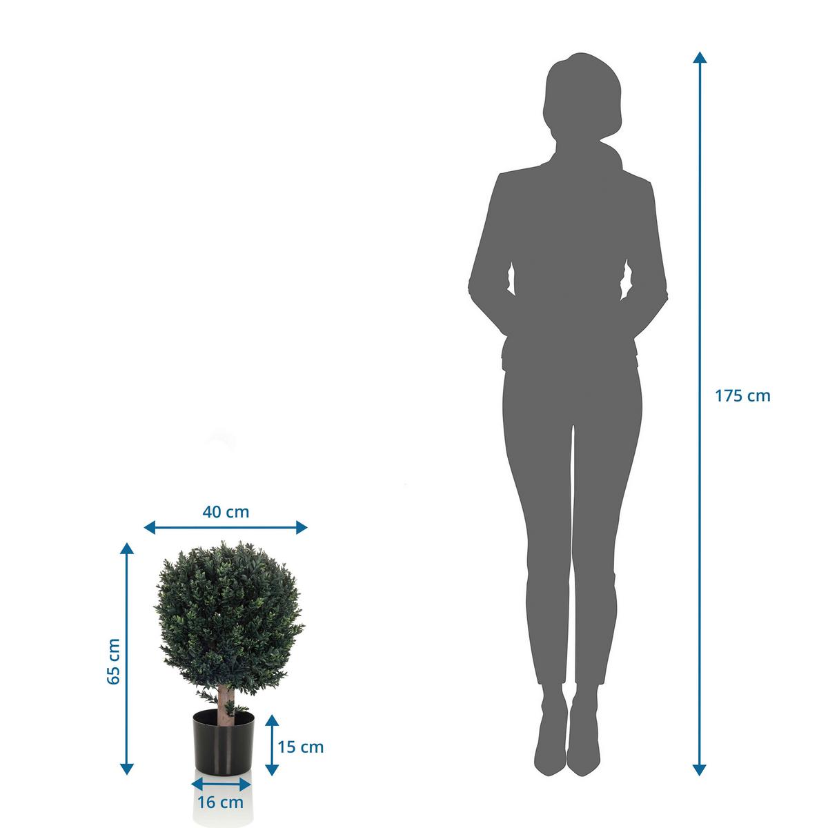 Kunstpflanze Buxus - Schwarz/Braun, Basics, Kunststoff (40/65/40cm) - MID.YOU