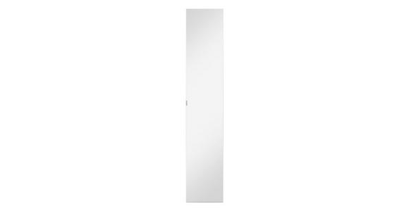 Spiegeltür Unit B: 45,3 cm Klarspiegel/Alufarben - Alufarben, MODERN, Holzwerkstoff (45,3/232,6/1,8cm) - Ondega