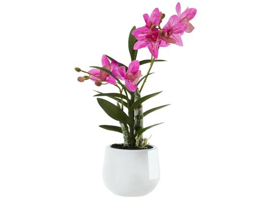 Rostlina Umělá Japonská Orchidej - pink/zelená, Basics, umělá hmota (40cm) Rostlina Umělá Japonská Orchidej - pink/zelená, Basics, umělá hmota (40cm)