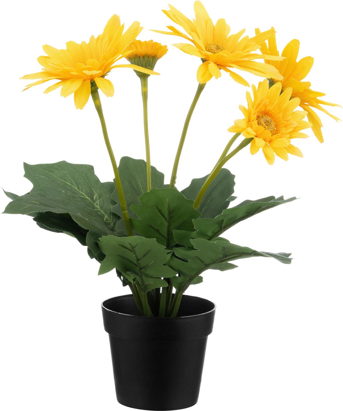 Dekoblume Anita - Elfenbein/Pink, KONVENTIONELL, Kunststoff (10/30cm) - Luca Bessoni