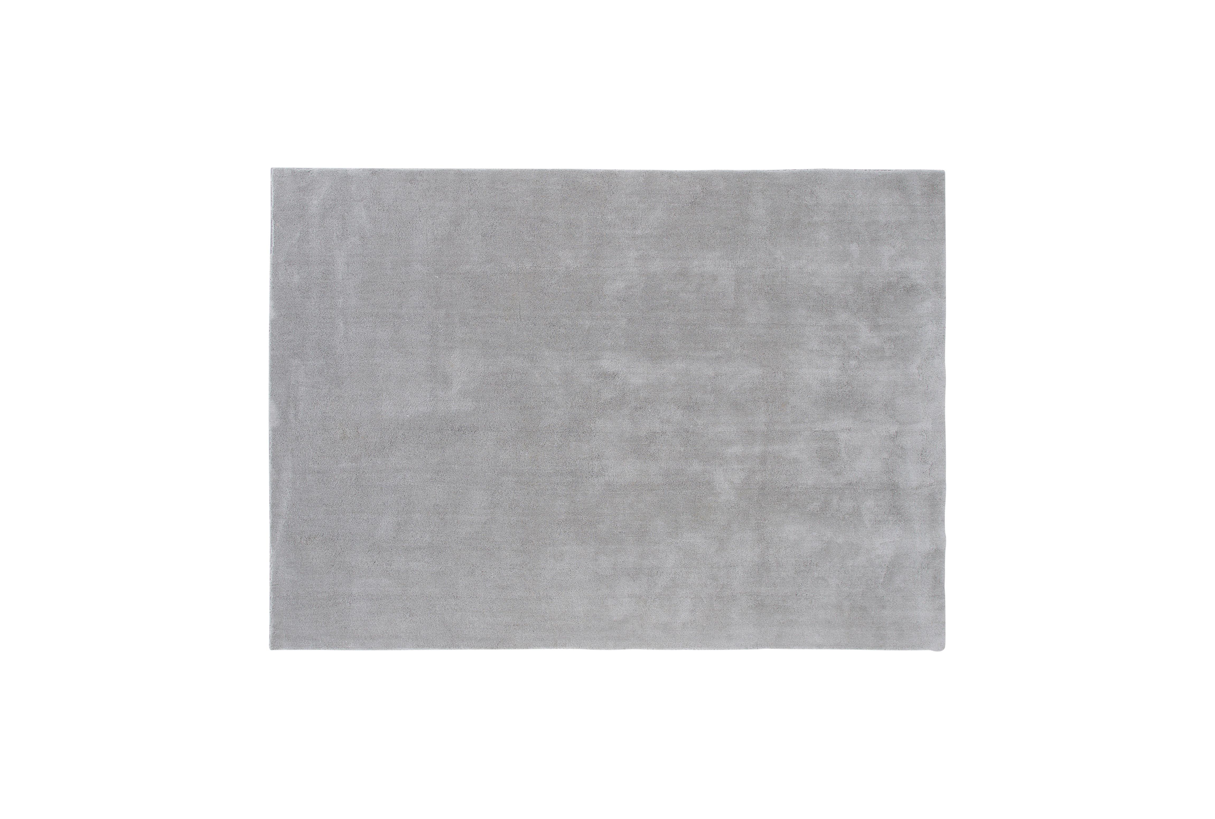 Hochflorteppich Undra - Hellgrau, LIFESTYLE, Textil (250/350cm) - P & B