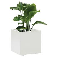 Blumenkasten Weiß B: 39,5 cm - Weiß, Basics, Kunststoff (39,5/39,5/39,5cm)