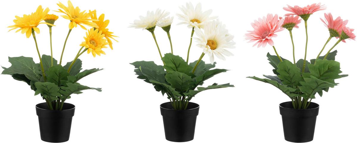 Dekoblume Anita - Elfenbein/Pink, KONVENTIONELL, Kunststoff (10/30cm) - Luca Bessoni