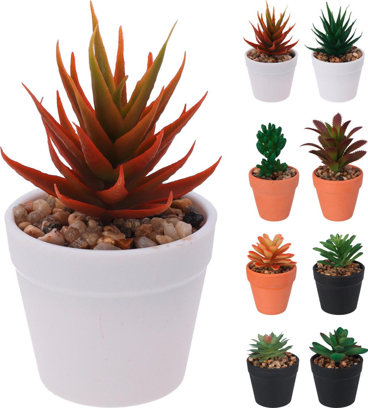 Műnövény Kaspóban Plant - műanyag (7,5/9cm)