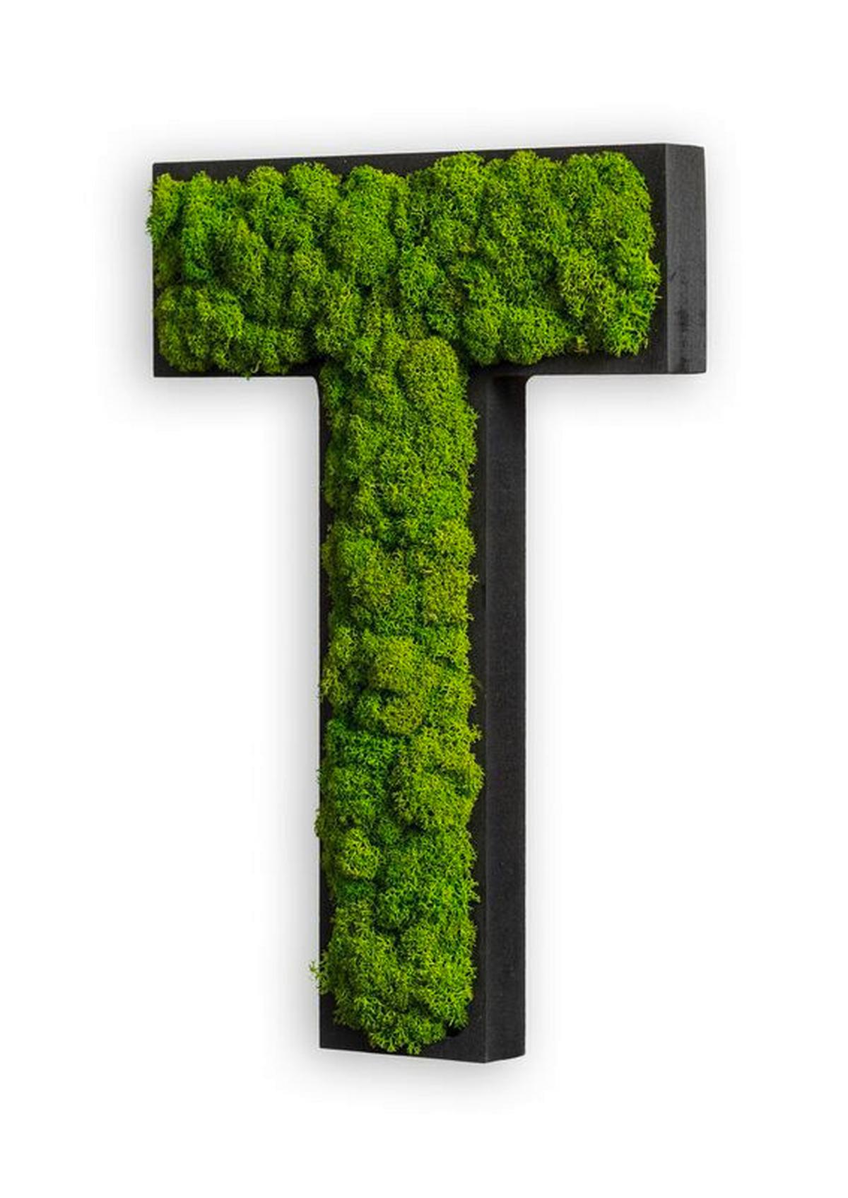 Moosbild Grün B: 25 cm - Schwarz/Grün, Basics, Naturmaterialien/Holz (25/19/4cm)
