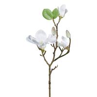 Műnövény Magnólia Ág - barna/fehér, Basics, műanyag (50cm)
