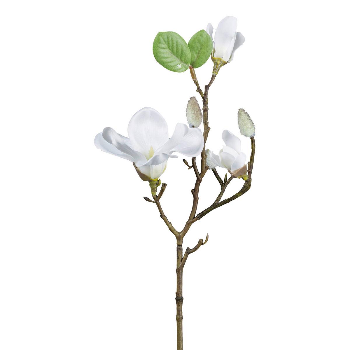 Műnövény Magnólia Ág - barna/fehér, Basics, műanyag (50cm)