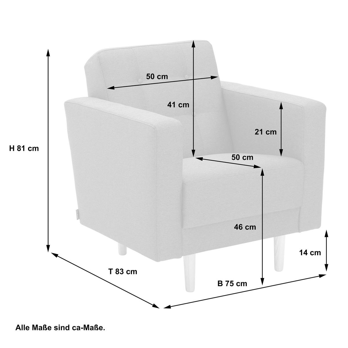Polstersessel mit Armlehnen Jasmin Flachgewebe Anthrazit - Eschefarben/Anthrazit, MODERN, Textil (75/81/83cm) - Max Winzer