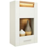 ZÁVĚSNÁ VITRÍNA LEONARDO - bílá/barvy dubu, Moderní, kov/kompozitní dřevo (60/98,5/30cm) - Mömax