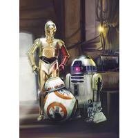 FOTOTAPETE Star Wars - Multicolor, Design, Papier (184/254cm)