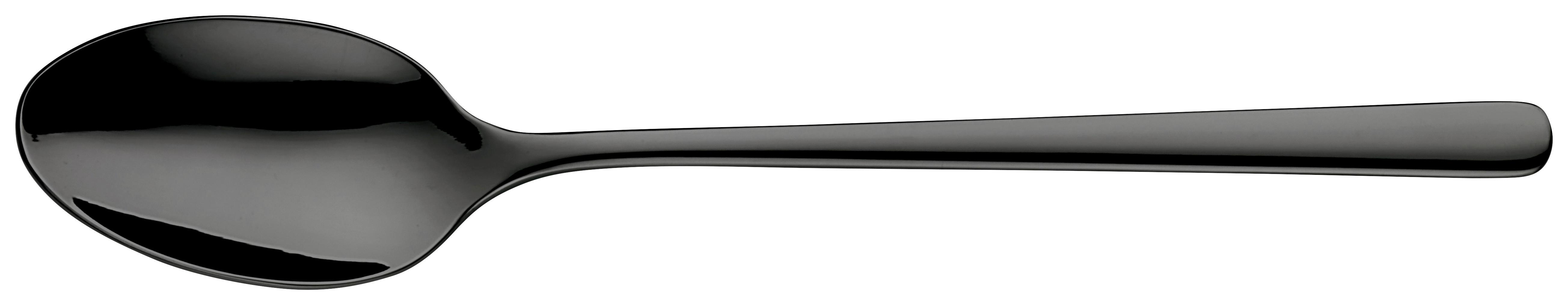 Lyžica Black, Dĺžka: 20,3cm - čierna, Moderný, kov (20,3cm) - Premium Living