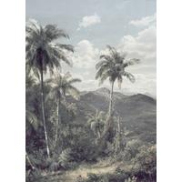 Fototapete The Exotic Land - Multicolor, Trend (200/280cm)