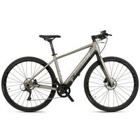 Elektrofahrrad Totem Urban Platin - Hellgrau, Basics, Metall (180/70/100cm)