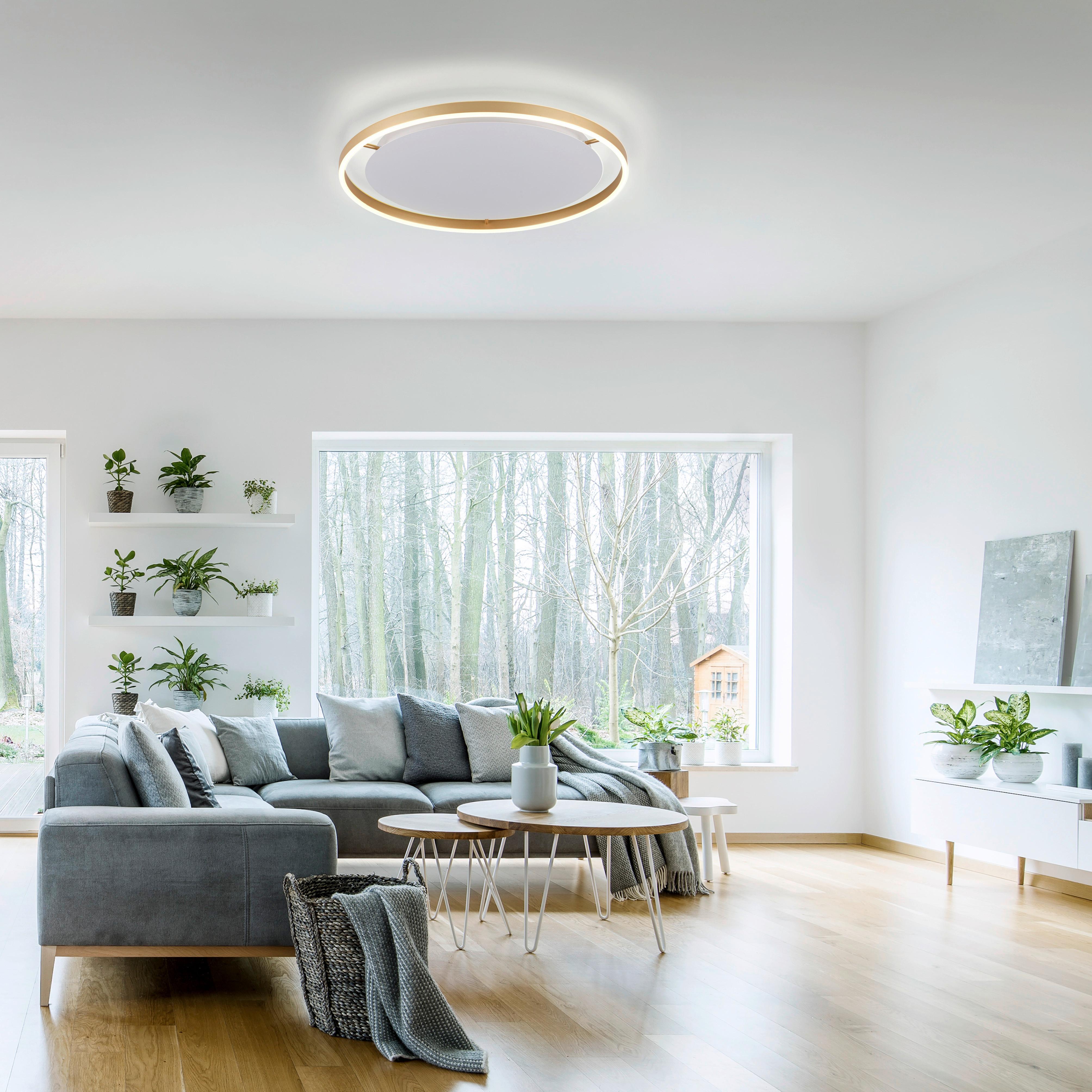 LED-Deckenleuchte 15392-60 Riuts - Messingfarben, Design, Kunststoff/Metall (58,5/58,5/5,3cm)