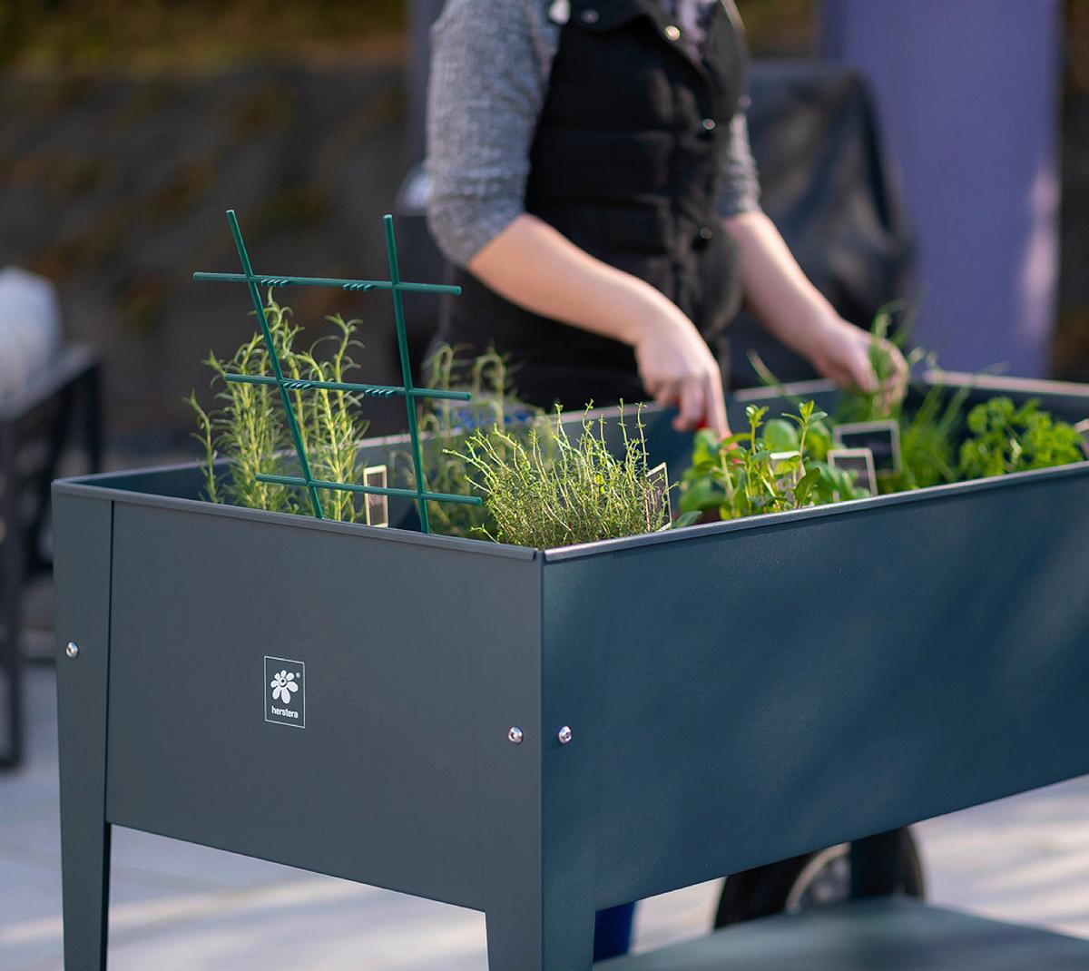 Hochbeet Stahl Swivel mit Ablagen 60/80/120 cm - Anthrazit, Basics, Metall (60/80/120cm)