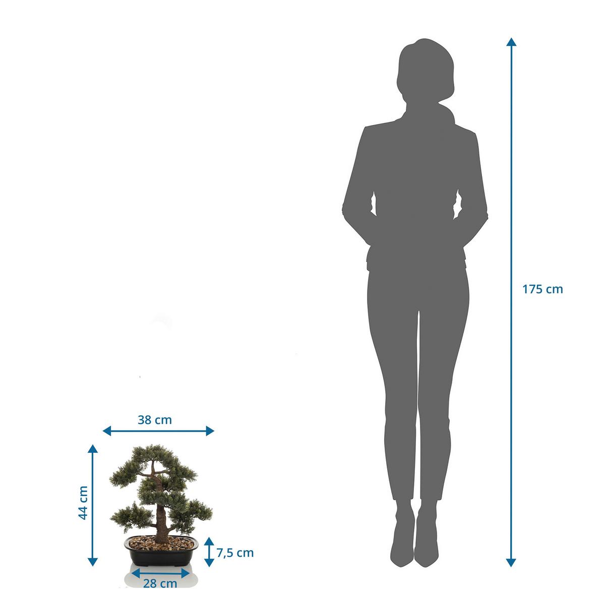Bonsai Bonsai - Schwarz/Braun, Basics, Kunststoff (38/44/20cm) - MID.YOU