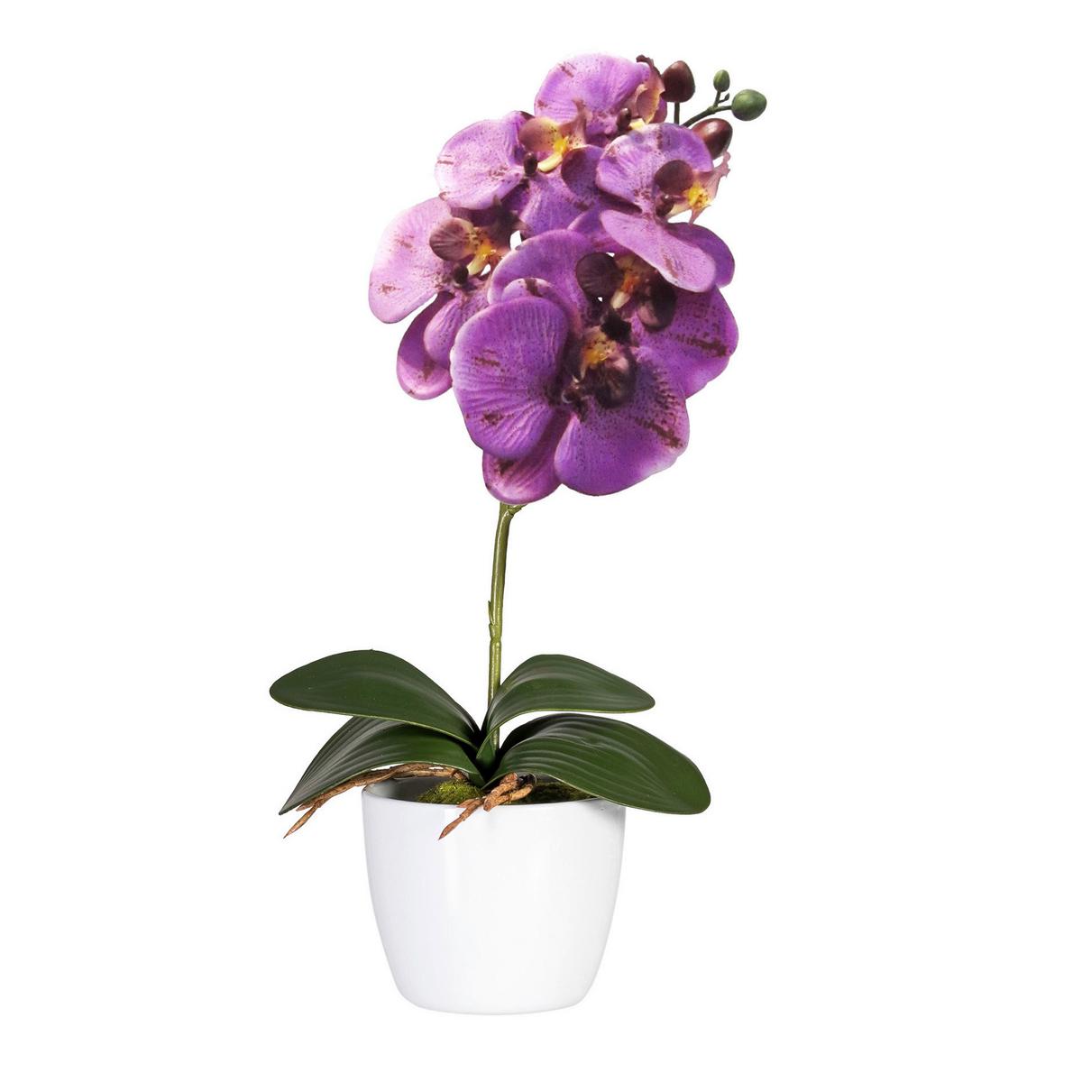 Kunstpflanze Orchidee Bunt H: 40 cm Im Topf, Sofie - Lila/Weiß, KONVENTIONELL, Keramik/Kunststoff (40cm)