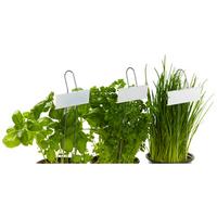 Pflanzenstecker Herb 5er-Set Stahl Weiß H: 27 Cm - Zinkfarben/Weiß, Metall (9/27cm) - Homezone