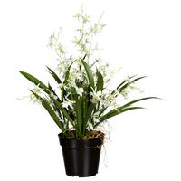 Kunstpflanze Orchideen Grün/schwarz/weiß, 60 Cm - Schwarz/Weiß, Design, Kunststoff/Textil (60cm) - P & B