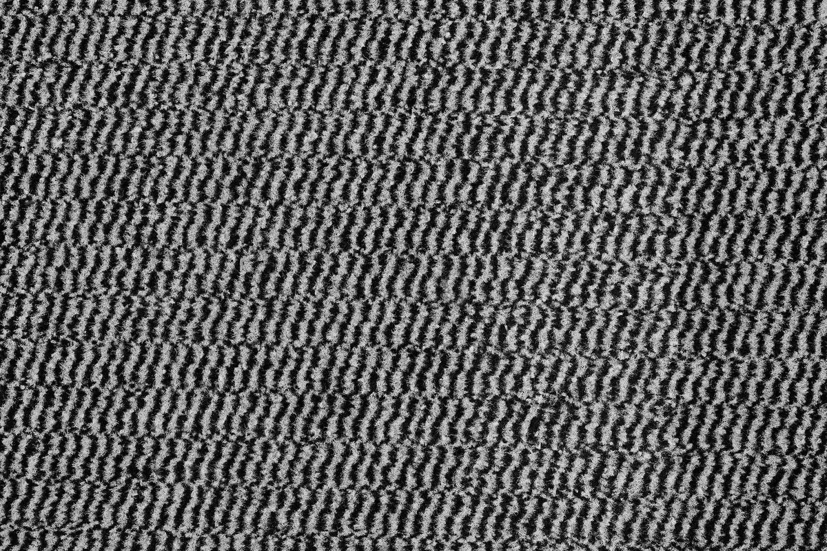 Läufer Entree - Hellgrau, Basics, Kunststoff (90/500cm) - Novel