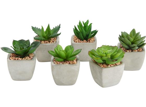 Umelá Rastlina Sukkulente - zelená, Štýlový, plast (9/7cm) Umelá Rastlina Sukkulente - zelená, Štýlový, plast (9/7cm)