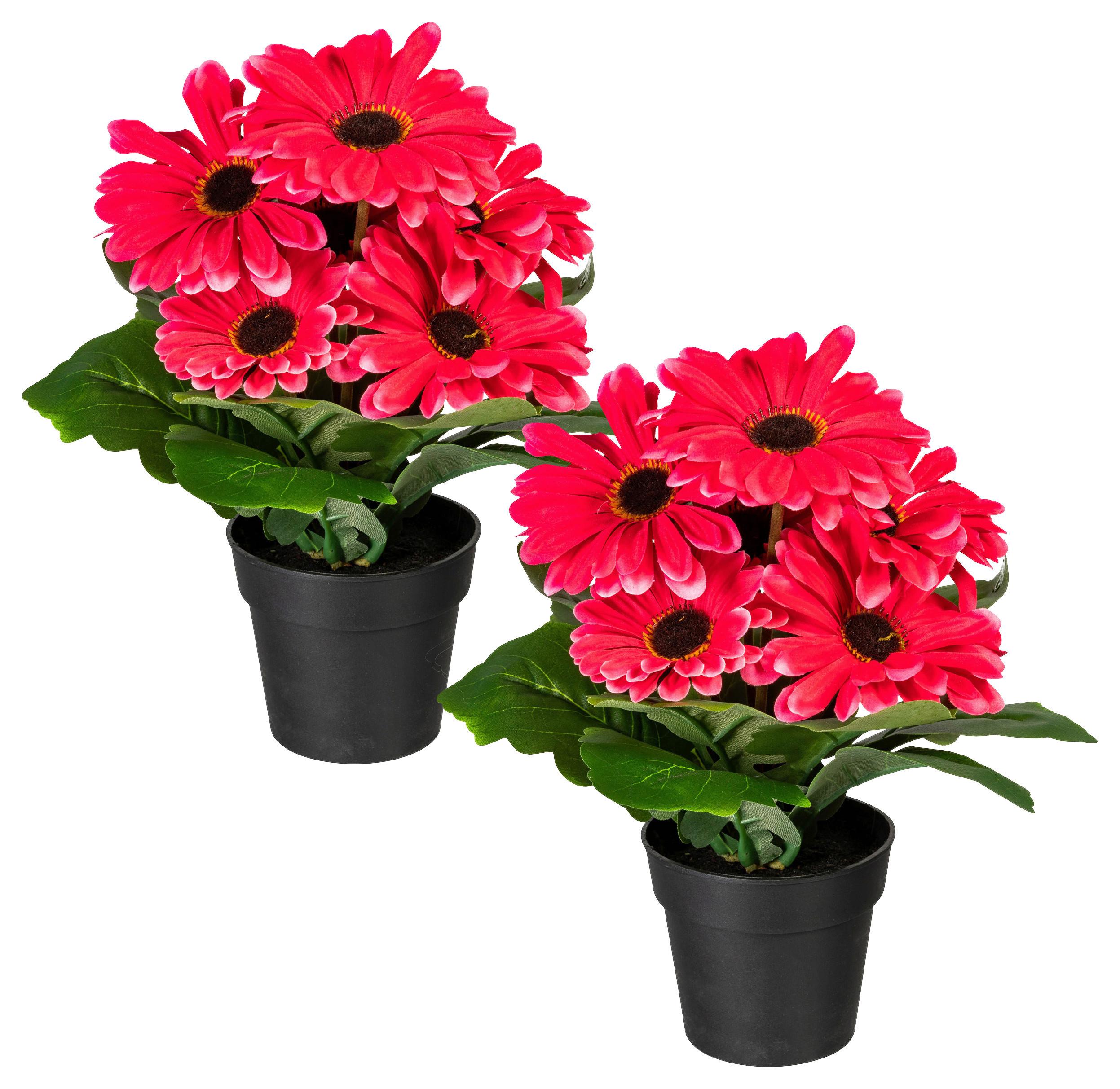 Kunstpflanze Blühpflanzen Rosa/Grün/Schwarz, 27 cm - Schwarz/Rosa, Design, Kunststoff (27cm) - P & B