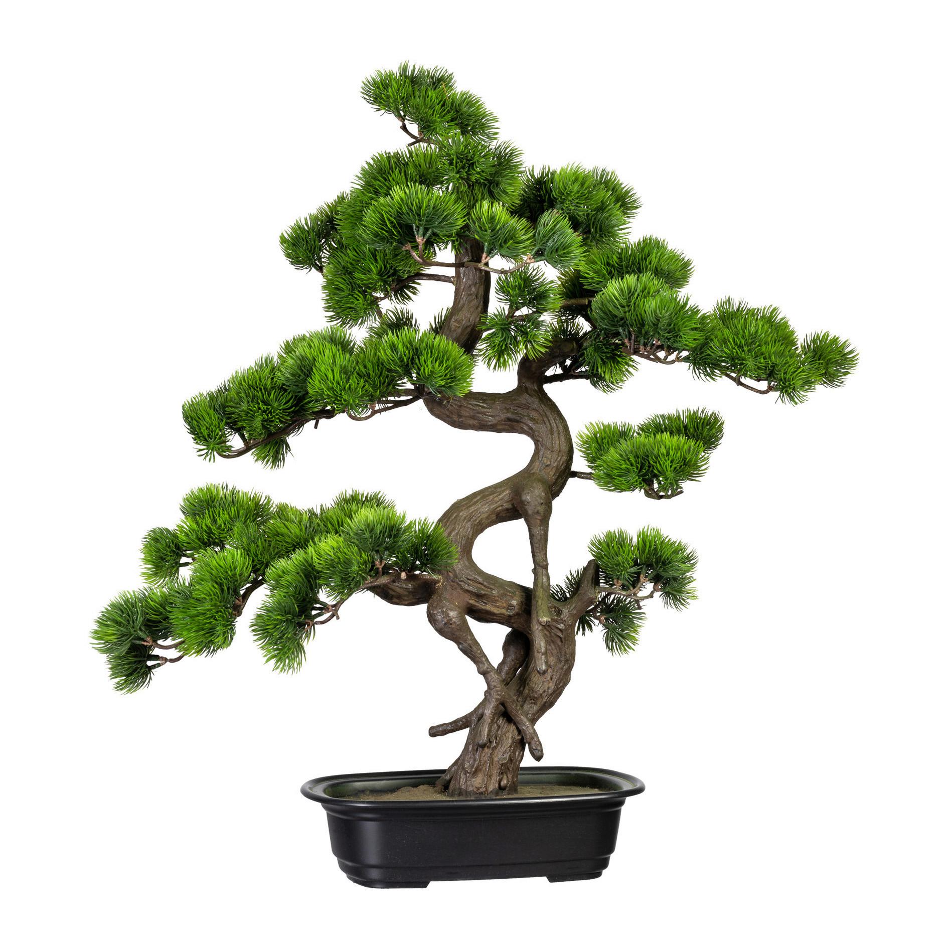 Kunstpflanze Bonsai Grün L: 65 cm mit Topf - Schwarz/Braun, Basics, Kunststoff (50/65cm)
