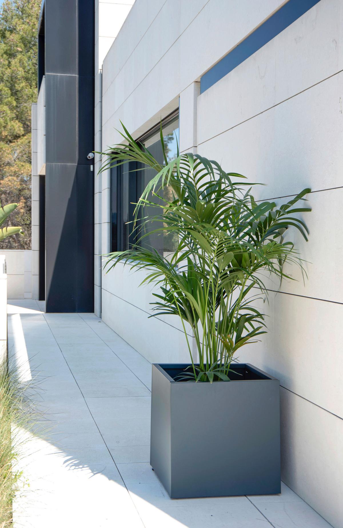 Pflanzentopf Pflanzkasten 70x70x70 - Anthrazit, Basics, Metall (70/70/70cm)