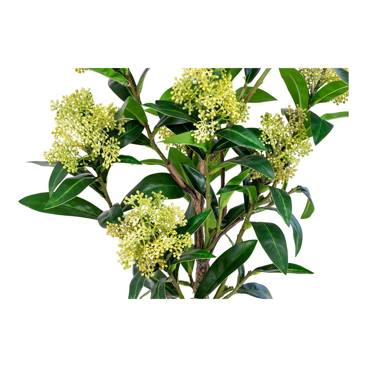 Kunstpflanze Skimmia H: 75 Cm Grün Schwarz - Schwarz/Grün, Basics, Kunststoff (75cm)