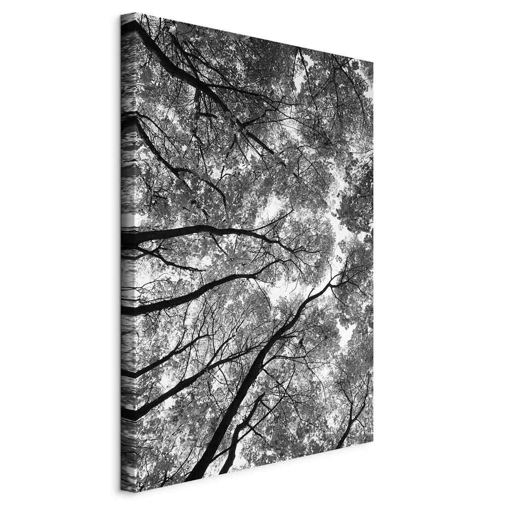 Leinwandbild High Trees Weiß Schwarz B: 40 cm - Schwarz/Weiß, Basics, Holzwerkstoff/Textil (40/60/1,2cm) - artgeist