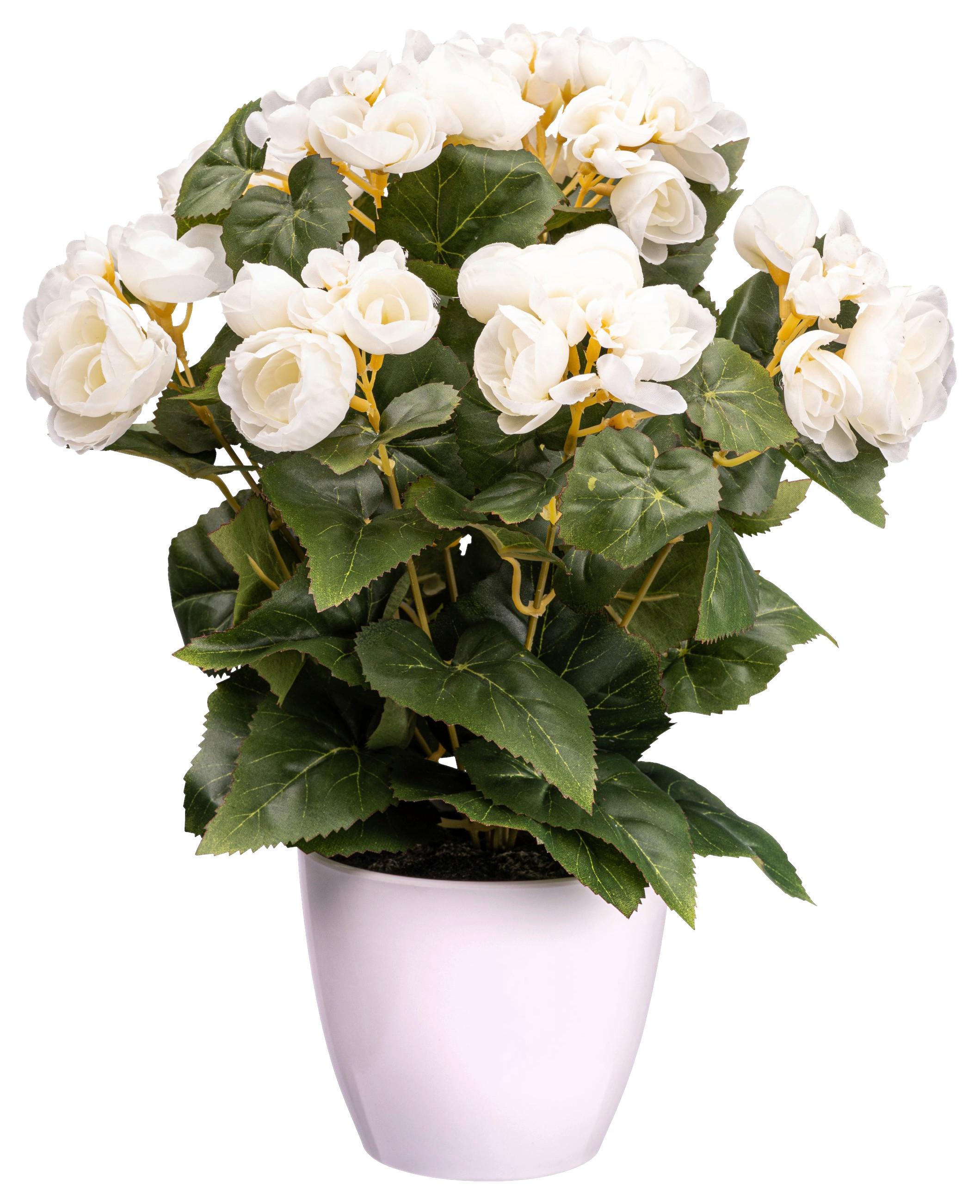 Kunstpflanze Blühpflanzen Creme/Grün, 35 cm - Creme/Grün, Design, Kunststoff (35cm) - P & B