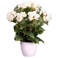 Kunstpflanze Blühpflanzen Creme/Grün, 35 cm - Creme/Grün, Design, Kunststoff (35cm) - P & B